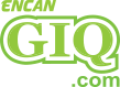logo-giqauction_fr